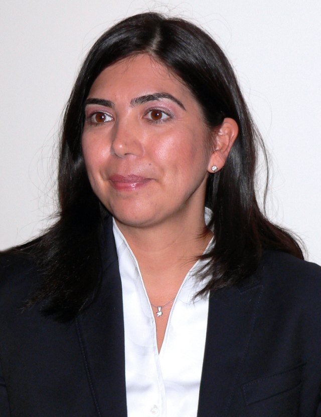 Aygül Özkan portresi