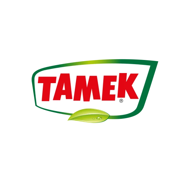 Tamek Holding portresi
