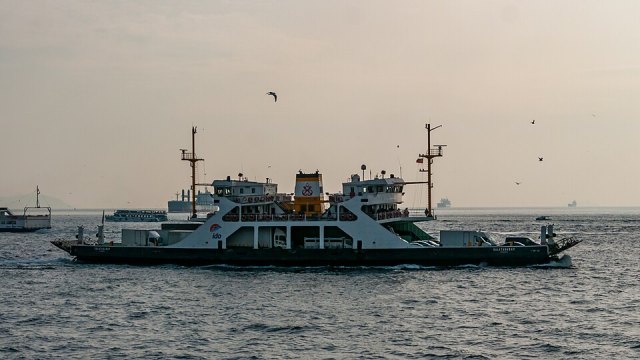 İstanbul Deniz Otobüsleri portresi