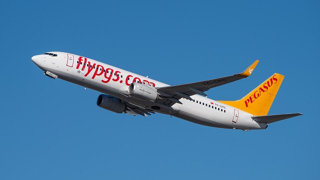 Pegasus Hava Yolları portresi