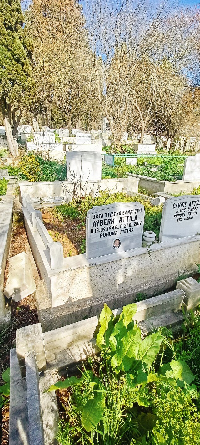 Ayberk Attila portresi