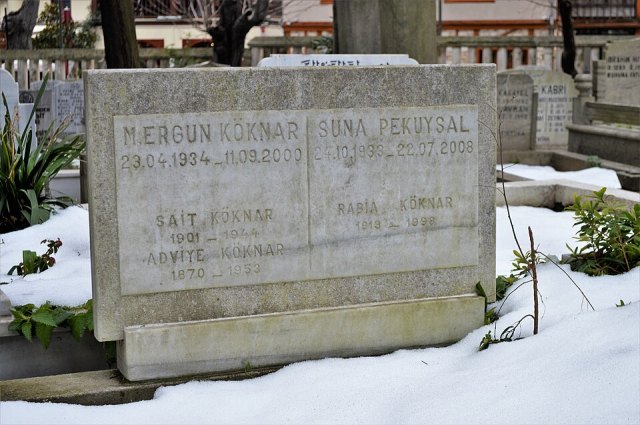 Sait Köknar portresi