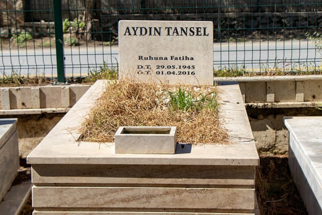 Aydın Tansel portresi