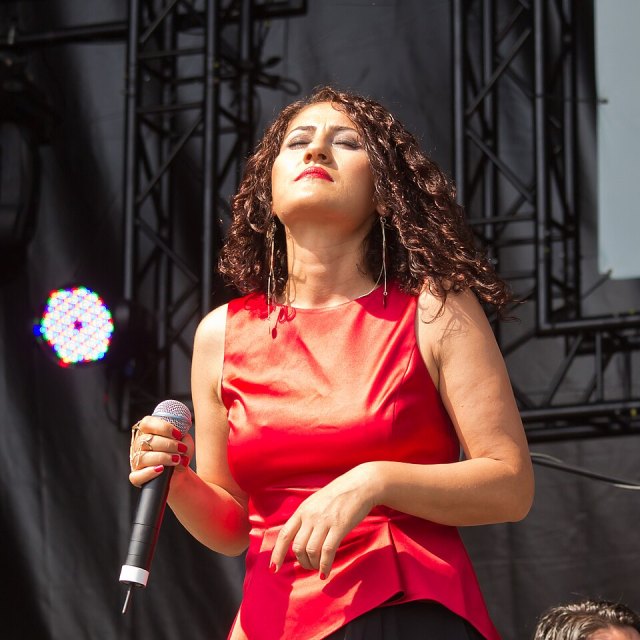Aynur Doğan portresi