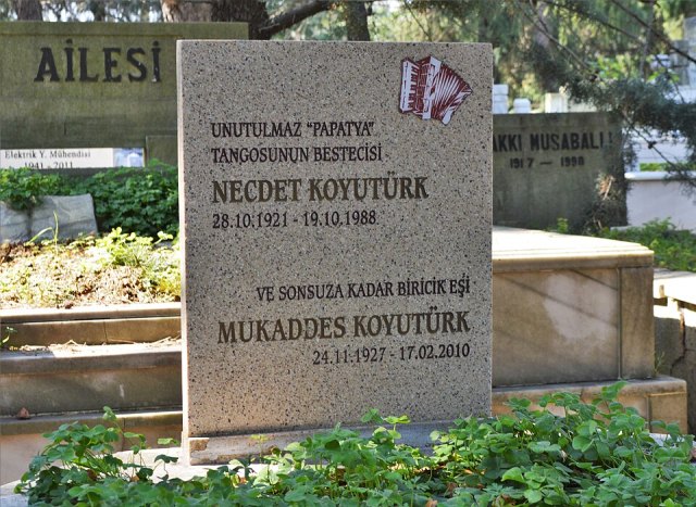 Necdet Koyutürk portresi