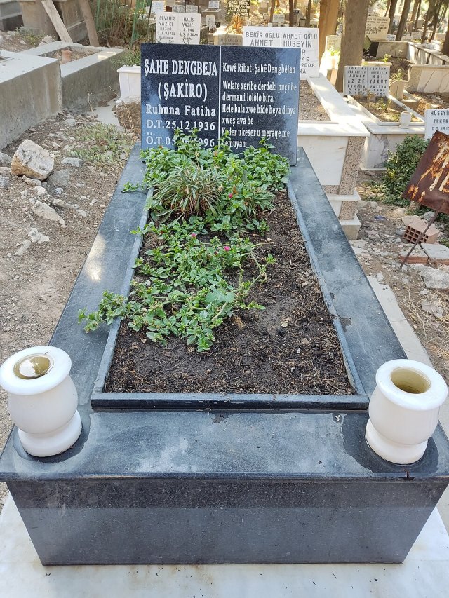 Şakiro portresi