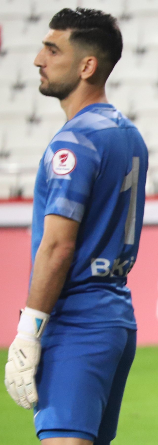 Bekir Sevgi