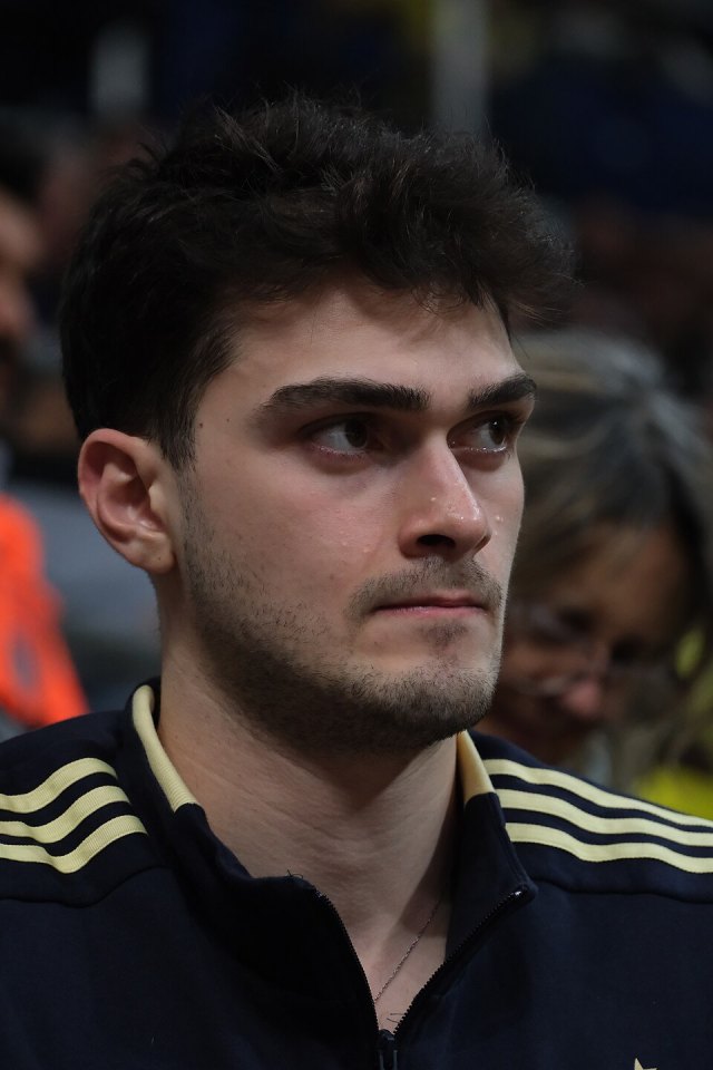 Yiğit Hamza Mestoğlu portresi