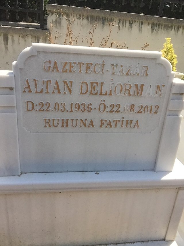 Altan Deliorman portresi