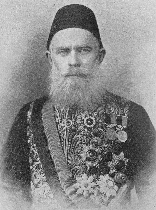 Ahmed Cevdet Paşa portresi