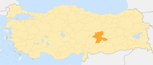 Ali Galip Olayı portresi