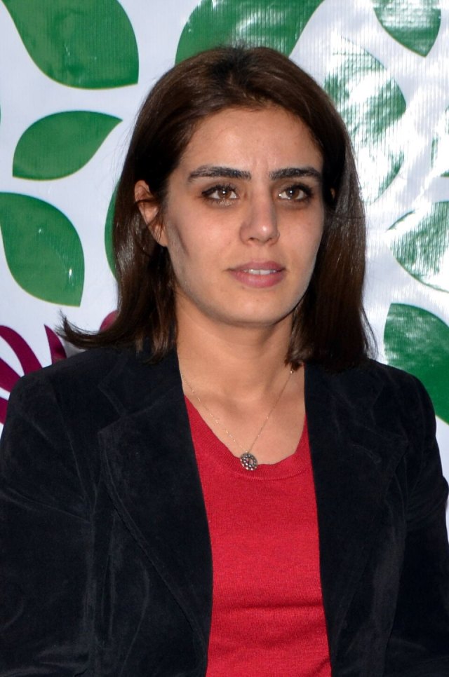 Ayşe Acar Başaran portresi